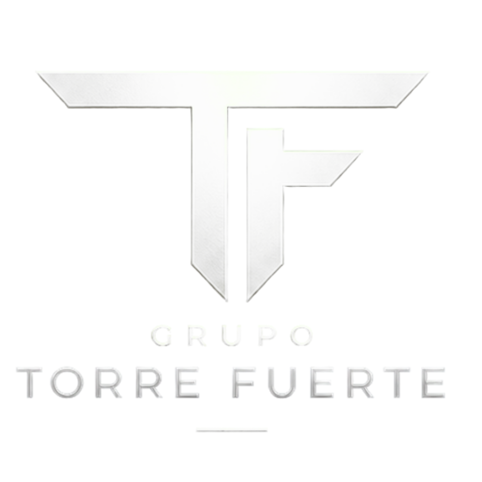torrefuertemx.com